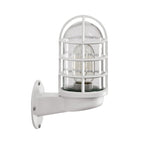 Loft Capsule Industrial Wall Sconce Light with Transparent Glass Shade and Wire Cage in Pink Blue Rust