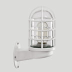 Loft Capsule Industrial Wall Sconce Light with Transparent Glass Shade and Wire Cage in Pink Blue Rust