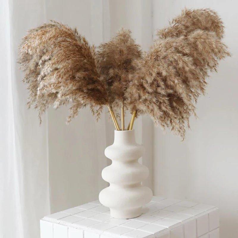 Harrow Dried Pampas Grass Bouquet 60 cm Natural Brown-Beige Preserved Flowers Set of 5 10 or 20