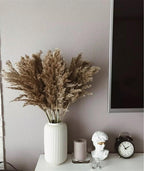 Harrow Dried Pampas Grass Bouquet 60 cm Natural Brown-Beige Preserved Flowers Set of 5 10 or 20