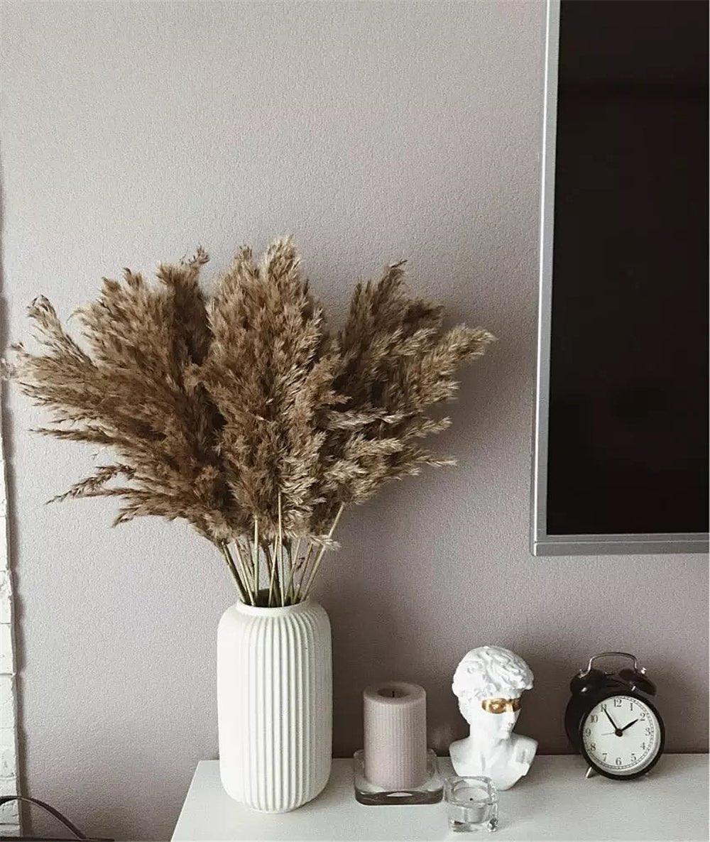 Harrow Dried Pampas Grass Bouquet 60 cm Natural Brown-Beige Preserved Flowers Set of 5 10 or 20