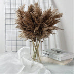 Harrow Dried Pampas Grass Bouquet 60 cm Natural Brown-Beige Preserved Flowers Set of 5 10 or 20