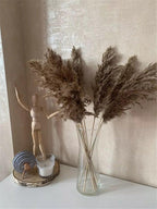 Harrow Dried Pampas Grass Bouquet 60 cm Natural Brown-Beige Preserved Flowers Set of 5 10 or 20
