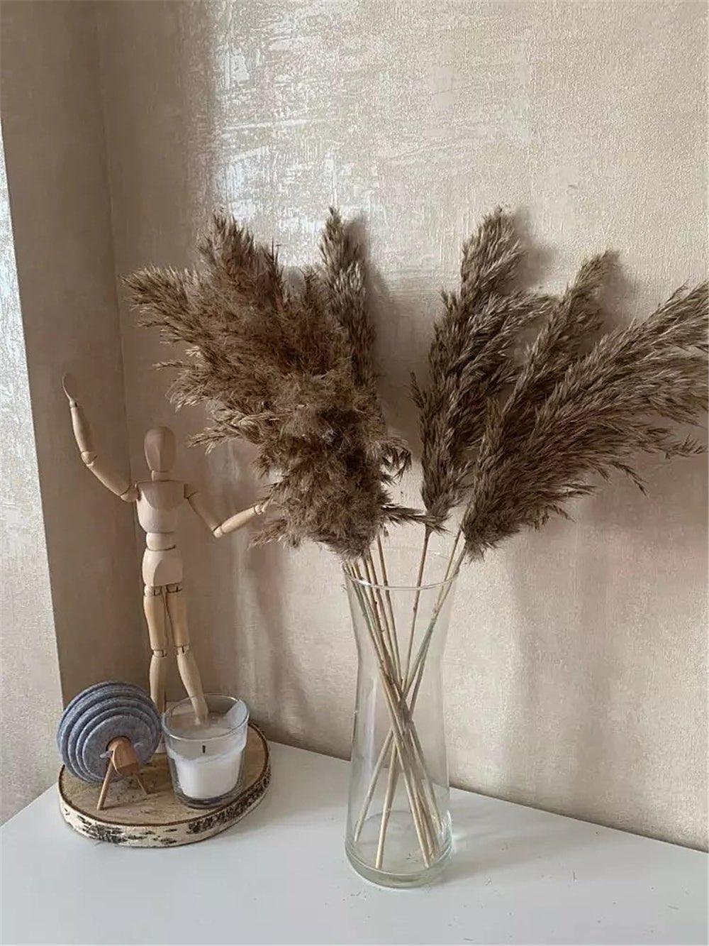 Harrow Dried Pampas Grass Bouquet 60 cm Natural Brown-Beige Preserved Flowers Set of 5 10 or 20