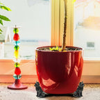Animal-Shaped Resin Plant Pot Feet Set of 3 Cute Decorative Flower Pot Risers for Small Plants