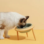 Misha Ceramic Elevated Cat Bowl with Adjustable Wooden Stand, 300ml & 600ml, Beige, Sage, Dark Green