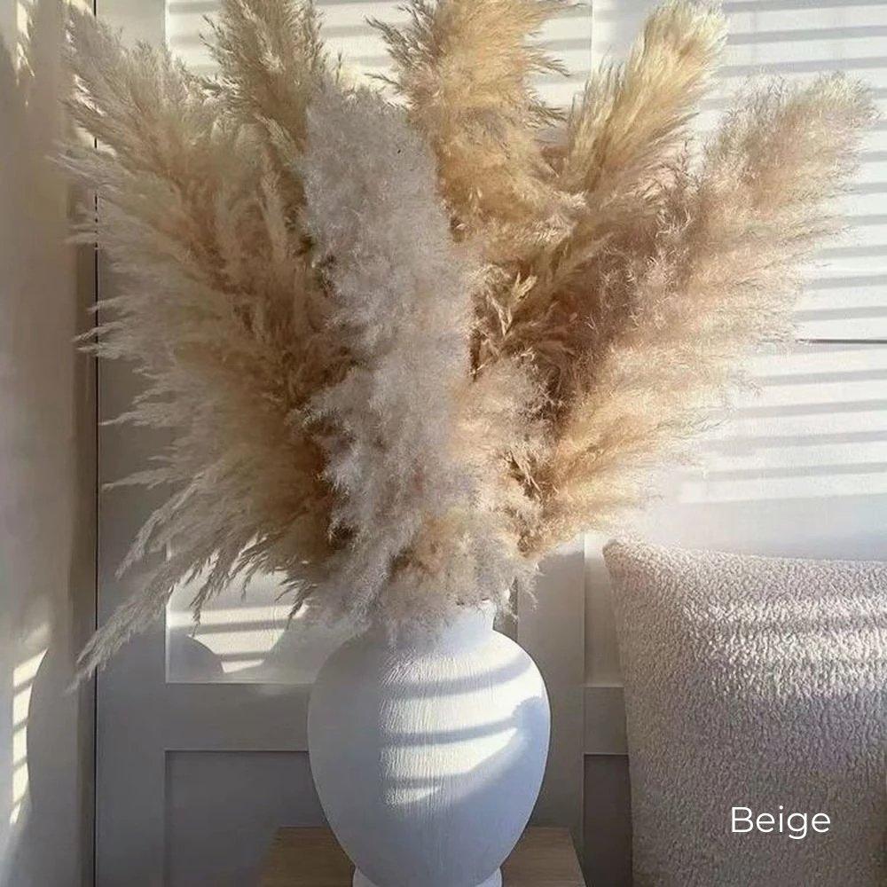 Harrow Pampas Grass Bouquet 80 cm Real Dried Natural White Beige Gray 5 or 10 Pieces