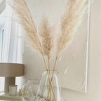 Harrow Pampas Grass Bouquet 80 cm Real Dried Natural White Beige Gray 5 or 10 Pieces