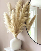Harrow Pampas Grass Bouquet 80 cm Real Dried Natural White Beige Gray 5 or 10 Pieces