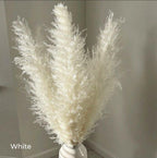 Harrow Pampas Grass Bouquet 80 cm Real Dried Natural White Beige Gray 5 or 10 Pieces