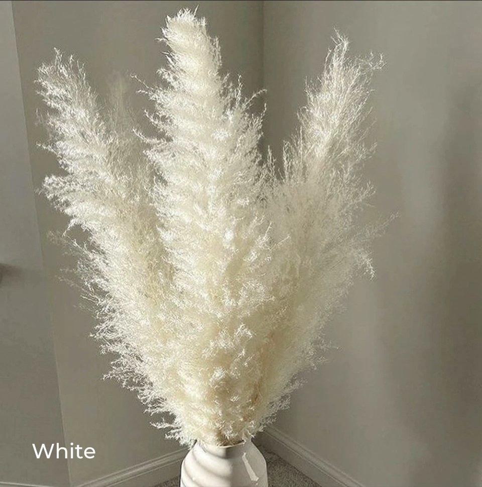 Harrow Pampas Grass Bouquet 80 cm Real Dried Natural White Beige Gray 5 or 10 Pieces