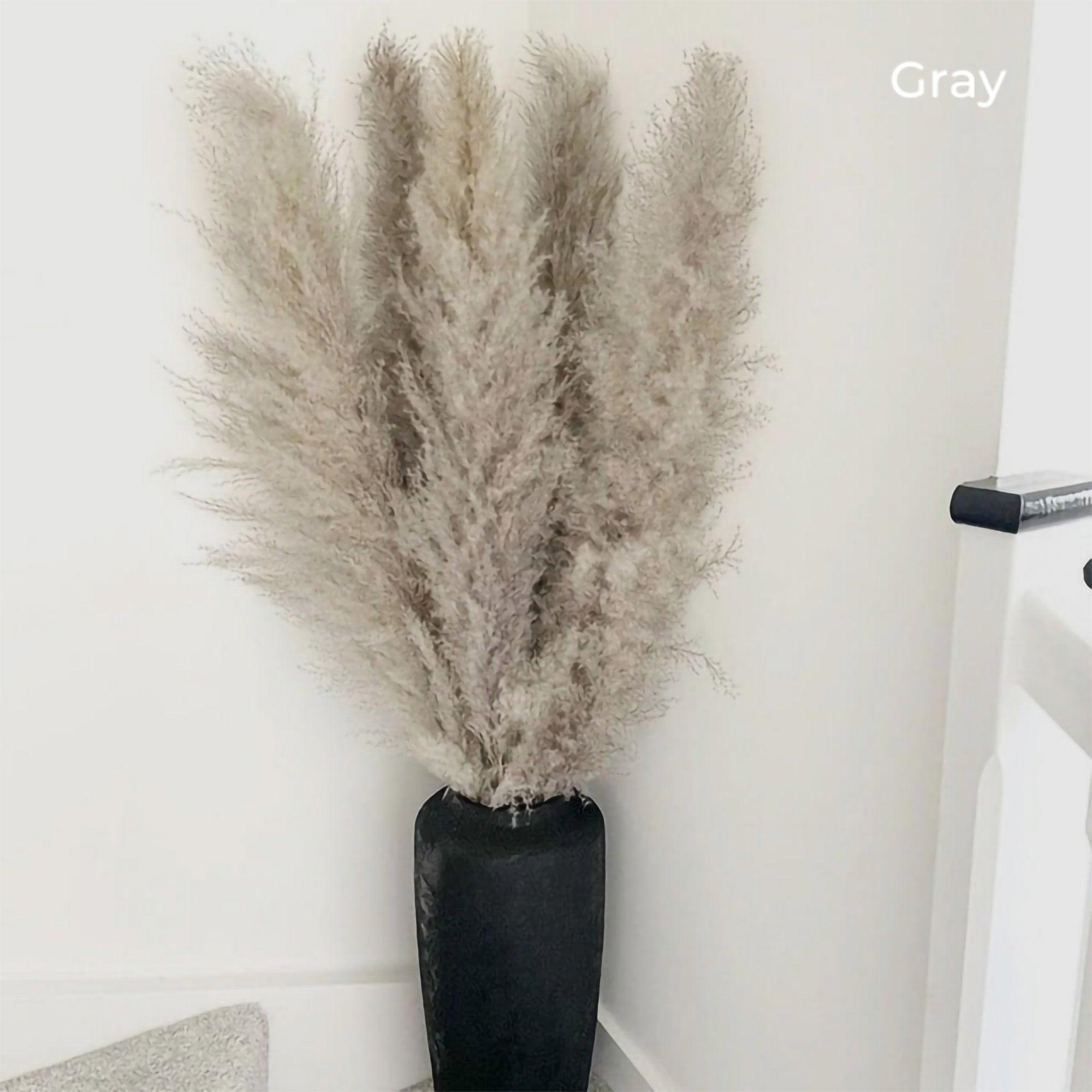Harrow Pampas Grass Bouquet 80 cm Real Dried Natural White Beige Gray 5 or 10 Pieces