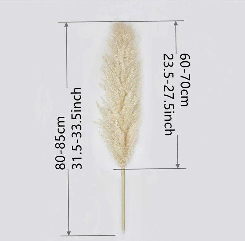 Harrow Pampas Grass Bouquet 80 cm Real Dried Natural White Beige Gray 5 or 10 Pieces