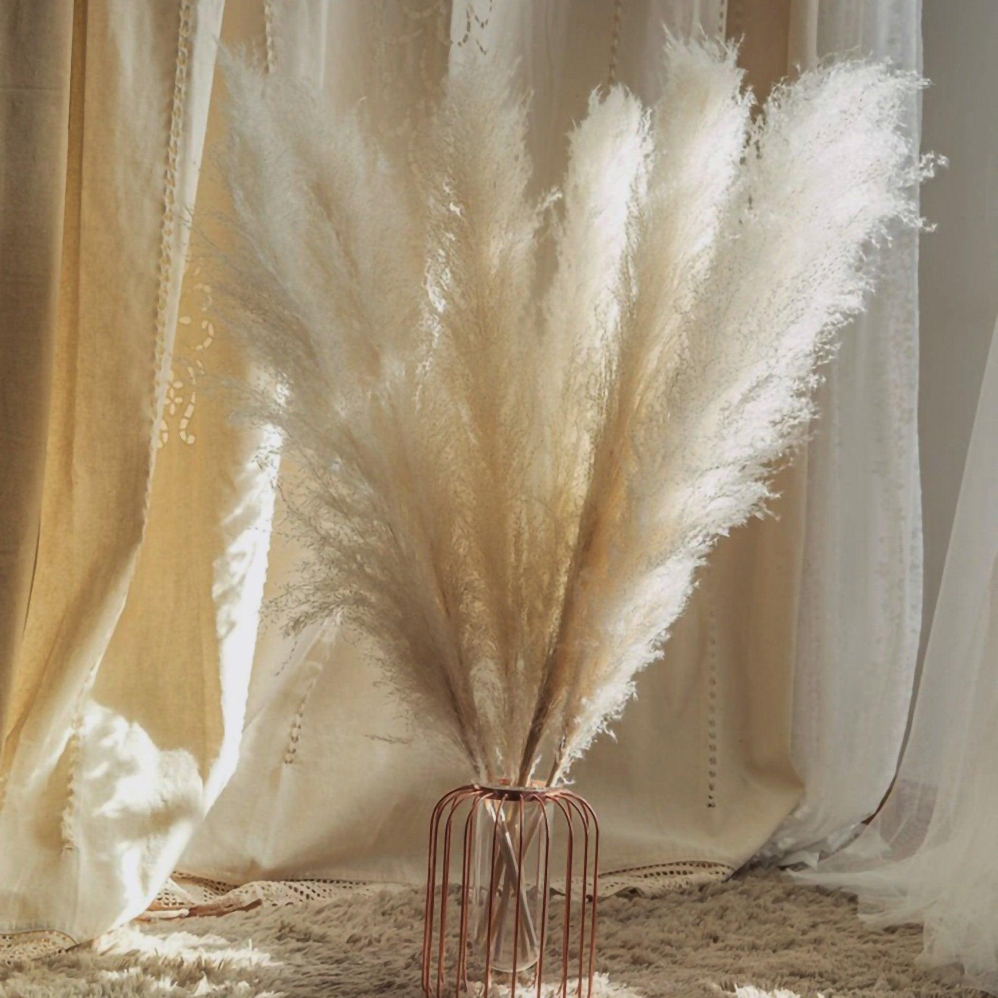 Harrow Pampas Grass Bouquet 80 cm Real Dried Natural White Beige Gray 5 or 10 Pieces