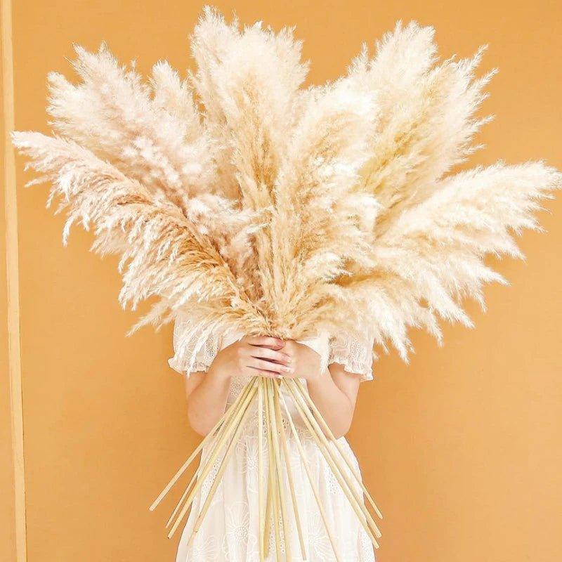Harrow Pampas Grass Bouquet 80 cm Real Dried Natural White Beige Gray 5 or 10 Pieces