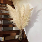 Harrow Pampas Grass Bouquet 80 cm Real Dried Natural White Beige Gray 5 or 10 Pieces