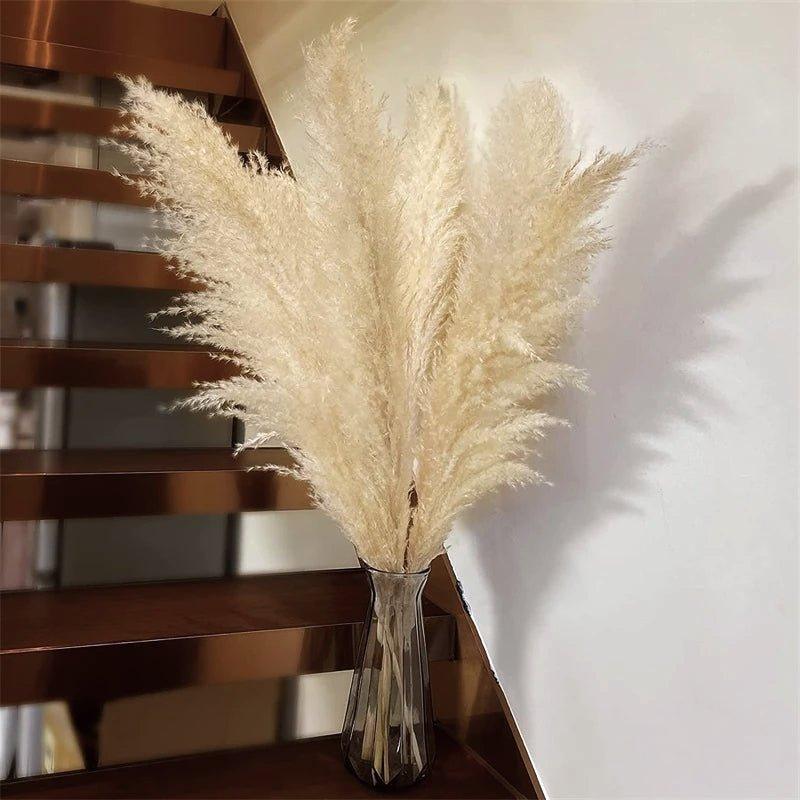 Harrow Pampas Grass Bouquet 80 cm Real Dried Natural White Beige Gray 5 or 10 Pieces