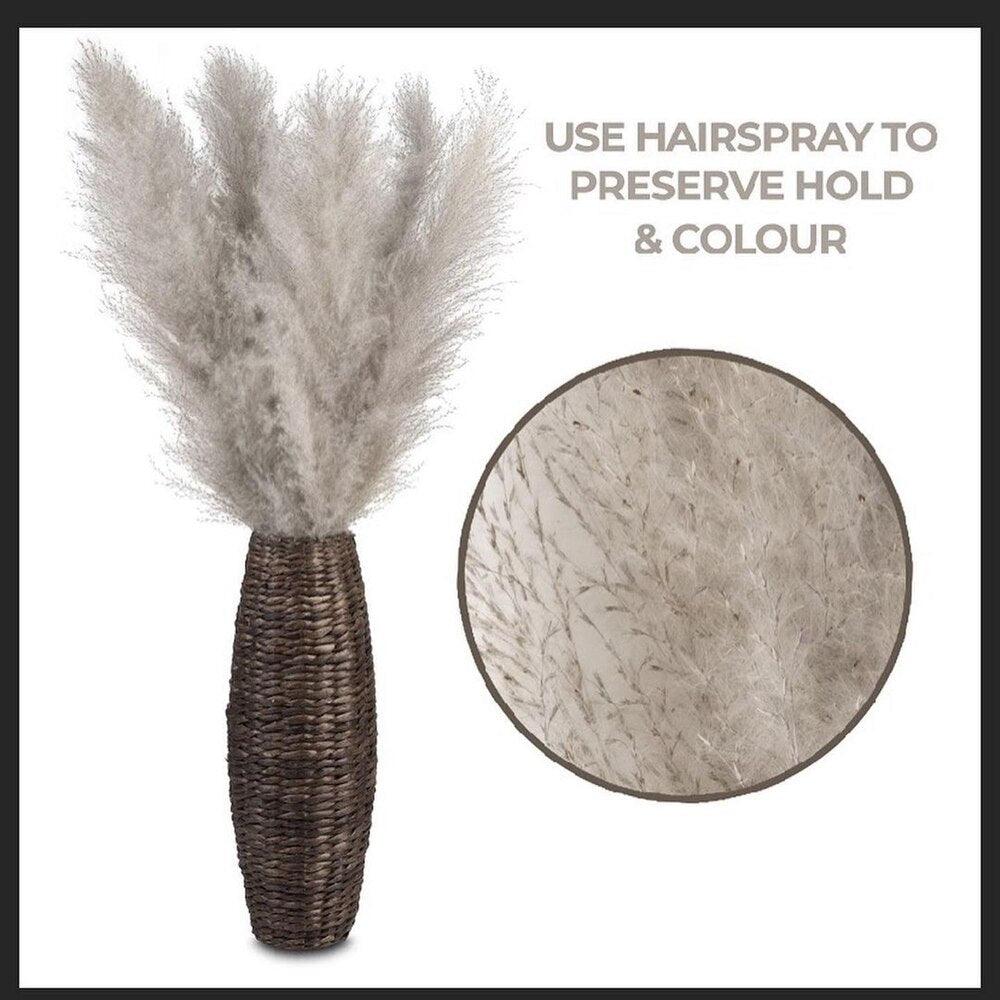 Harrow Pampas Grass Bouquet 80 cm Real Dried Natural White Beige Gray 5 or 10 Pieces