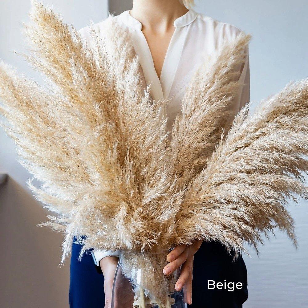 Harrow Pampas Grass Bouquet 80 cm Real Dried Natural White Beige Gray 5 or 10 Pieces