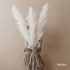 Harrow Pampas Grass Bouquet 80 cm Real Dried Natural White Beige Gray 5 or 10 Pieces