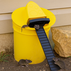 Mouse Trap Bucket Lid Auto Reset Reusable Non-Toxic Fits Standard 5-Gallon Bucket with Ladder Ramp