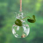 Transparent Glass Angel Vase Small and Large Decorative Borosilicate Clear Flower Vase