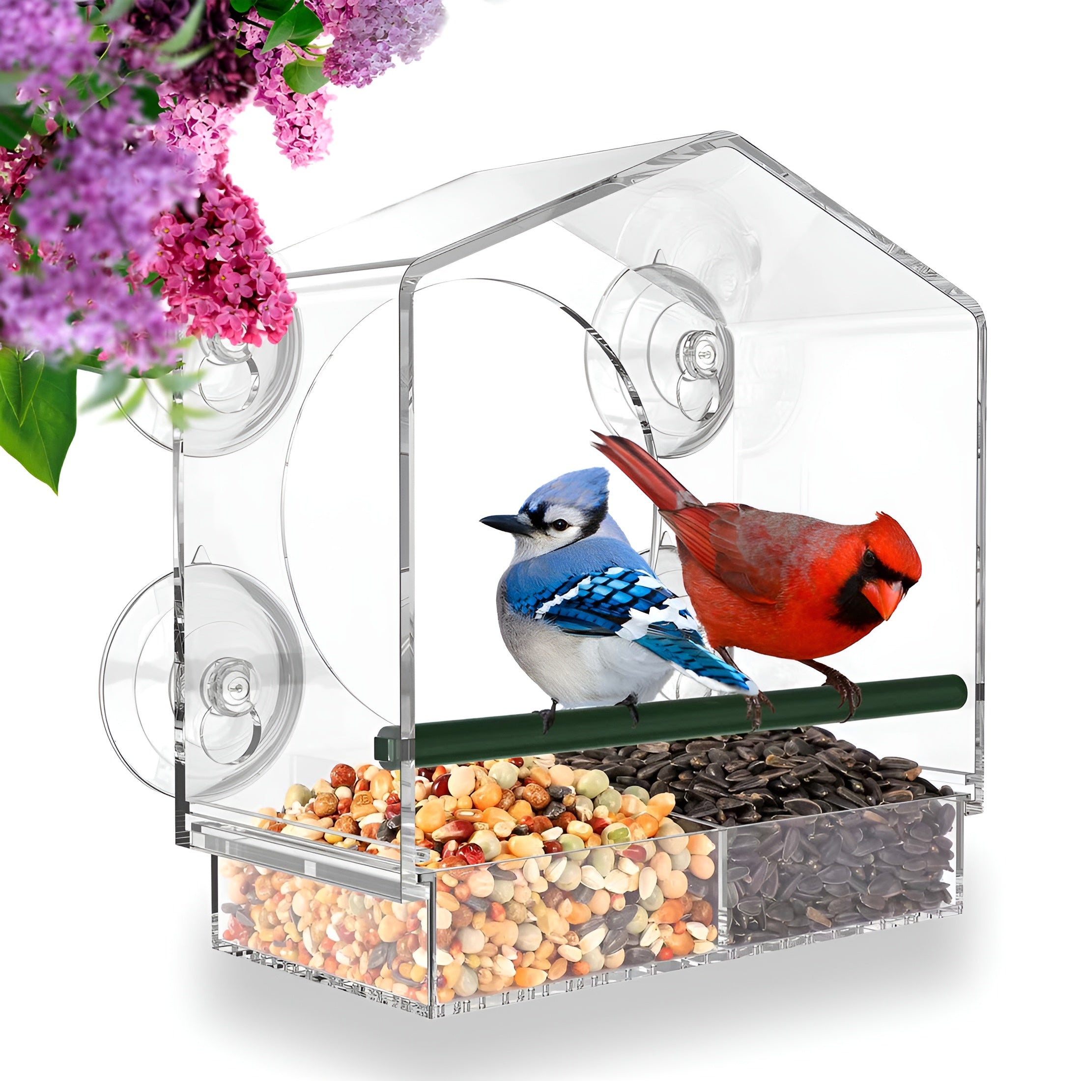 Clear Window Bird Feeder with Secure Suction Cups Weatherproof Transparent Birdhouse