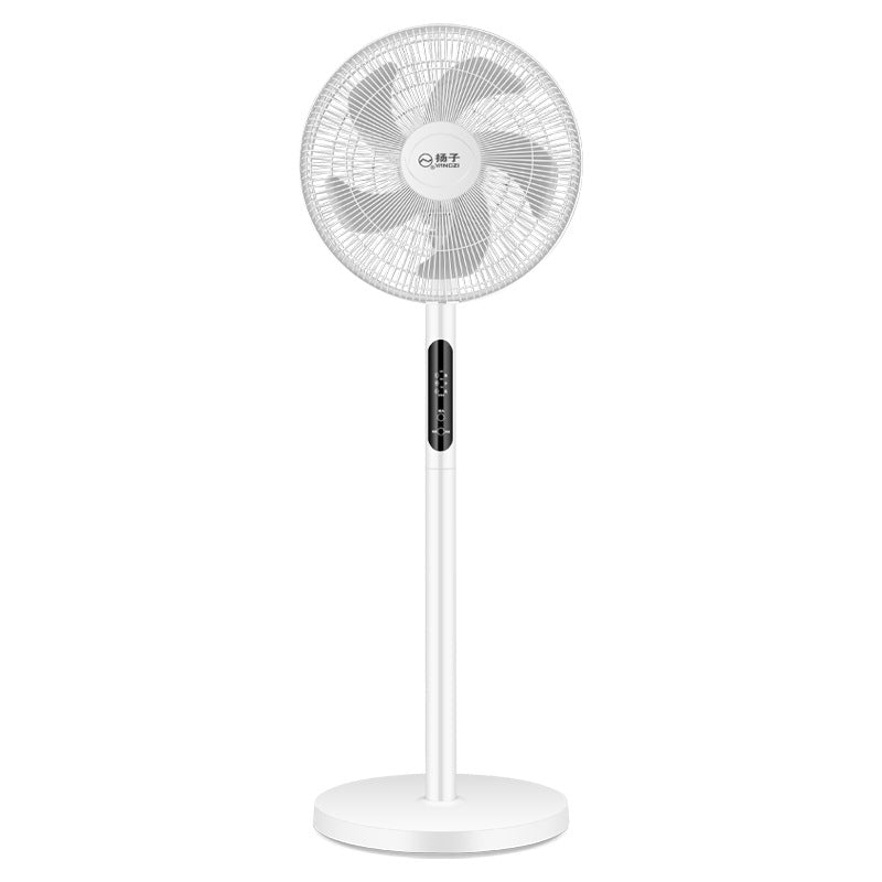 Standing Fan with Adjustable Head and Multiple Speeds Powerful Stable Base Slim Design for Home Use