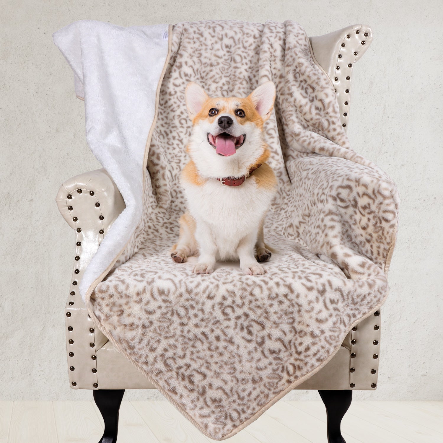 Brehn Ladies Snuggle Blanket Soft Lightweight Leopard Print Cozy Throw Blanket