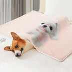 Comfortable Pet Bed Harrow Hypoallergenic Polyester Non-Slip Round Design Machine Washable for Dogs and Cats