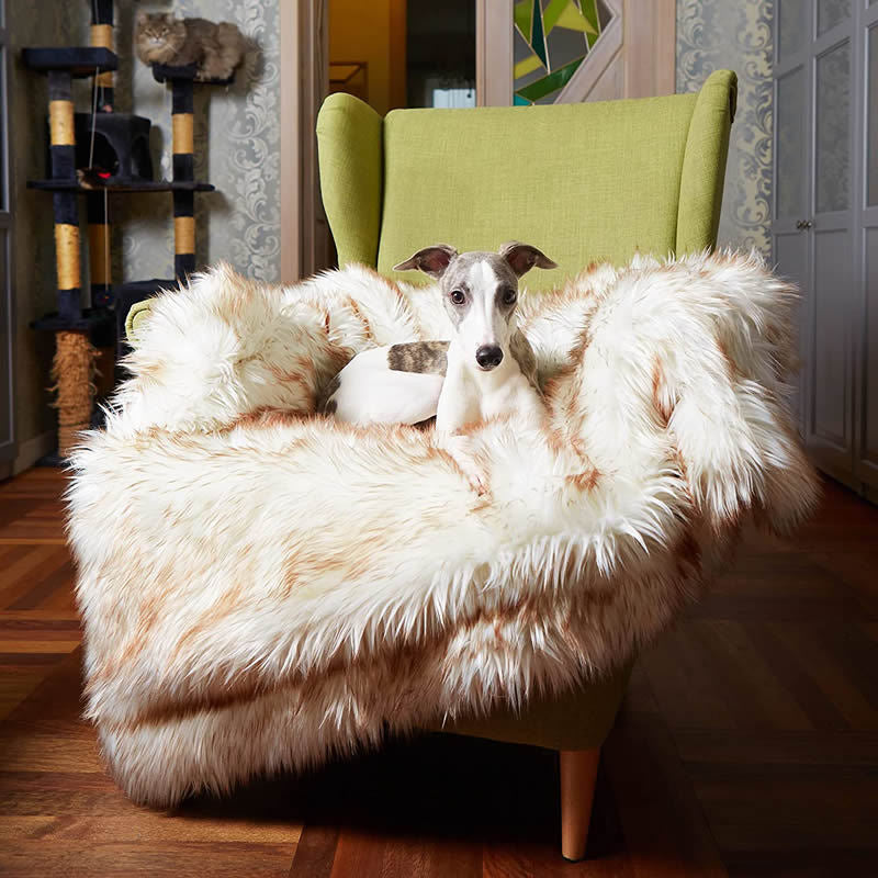 Unisex Snuggle Blanket Soft Large Cozy Throw Machine Washable