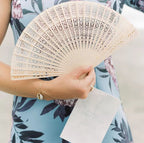 Ladies Fan Delicate Plastic Artistic Cut Pattern Lightweight Handheld Accessory