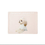 Comfortable Pet Bed Harrow Hypoallergenic Polyester Non-Slip Round Design Machine Washable for Dogs and Cats