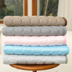 Waterproof Non-Slip Pet Mat with Water-Repellent Coating for Home and Travel