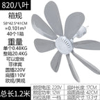 Ceiling Fan 42cm Energy-Efficient Modern Indoor Fan for Living Room and Office