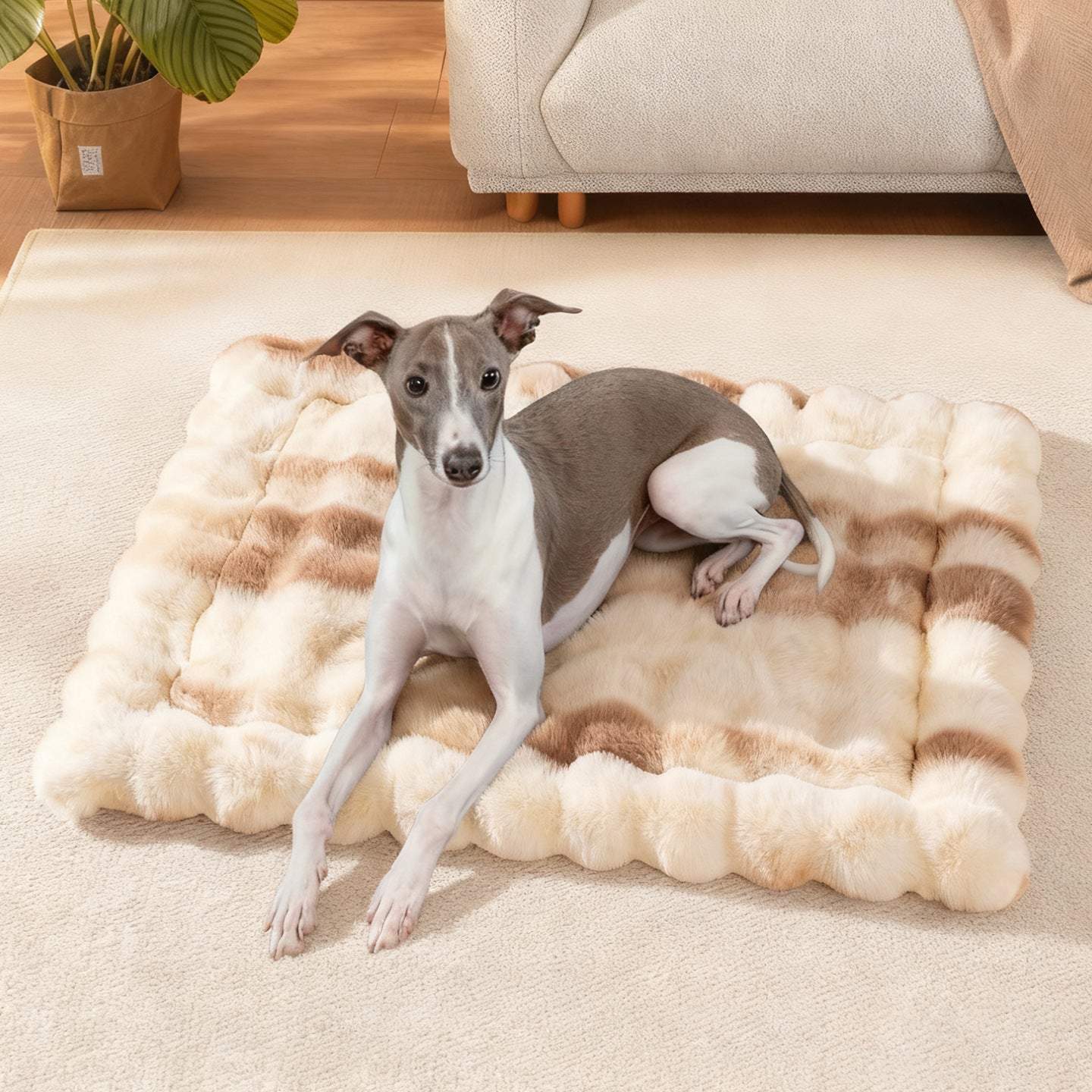 Harrow Women's Cuddle Mat Soft Plush Non-Slip Cozy Floor Mat for Home and Pets