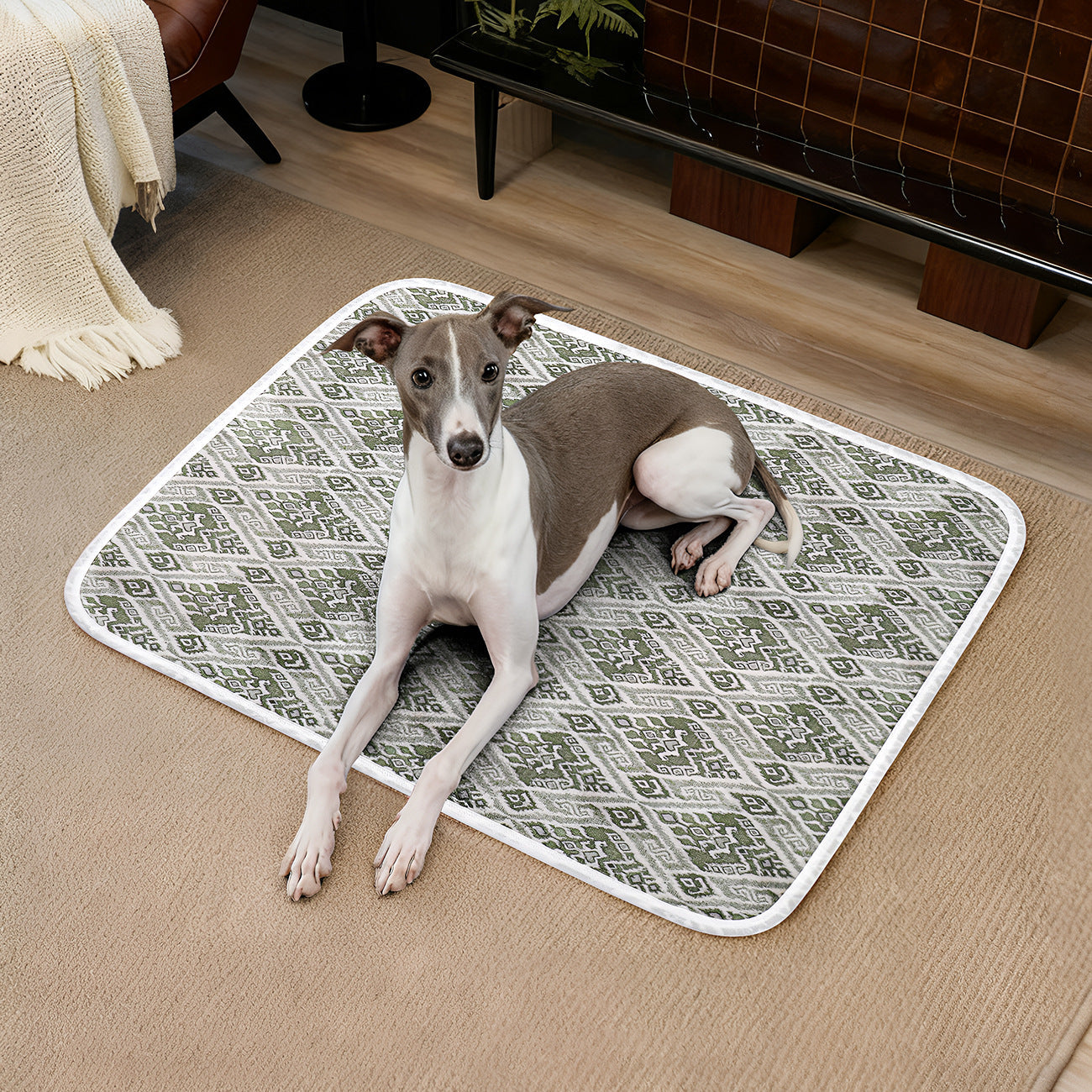 Harrow Pet Mat Non-Slip Durable Fabric with Modern Pattern Unisex