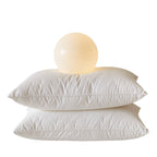 Bowlift Women's Ergonomic Sleep Pillow Hypoallergenic Cervical Support with Washable Cover
