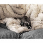 Brehn Soft Plush Pet Blanket with Non-Slip Bottom Cozy and Machine Washable
