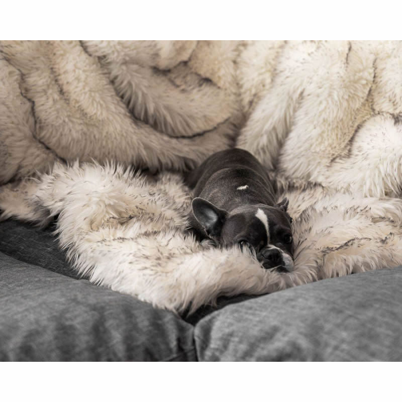 Brehn Soft Plush Pet Blanket with Non-Slip Bottom Cozy and Machine Washable