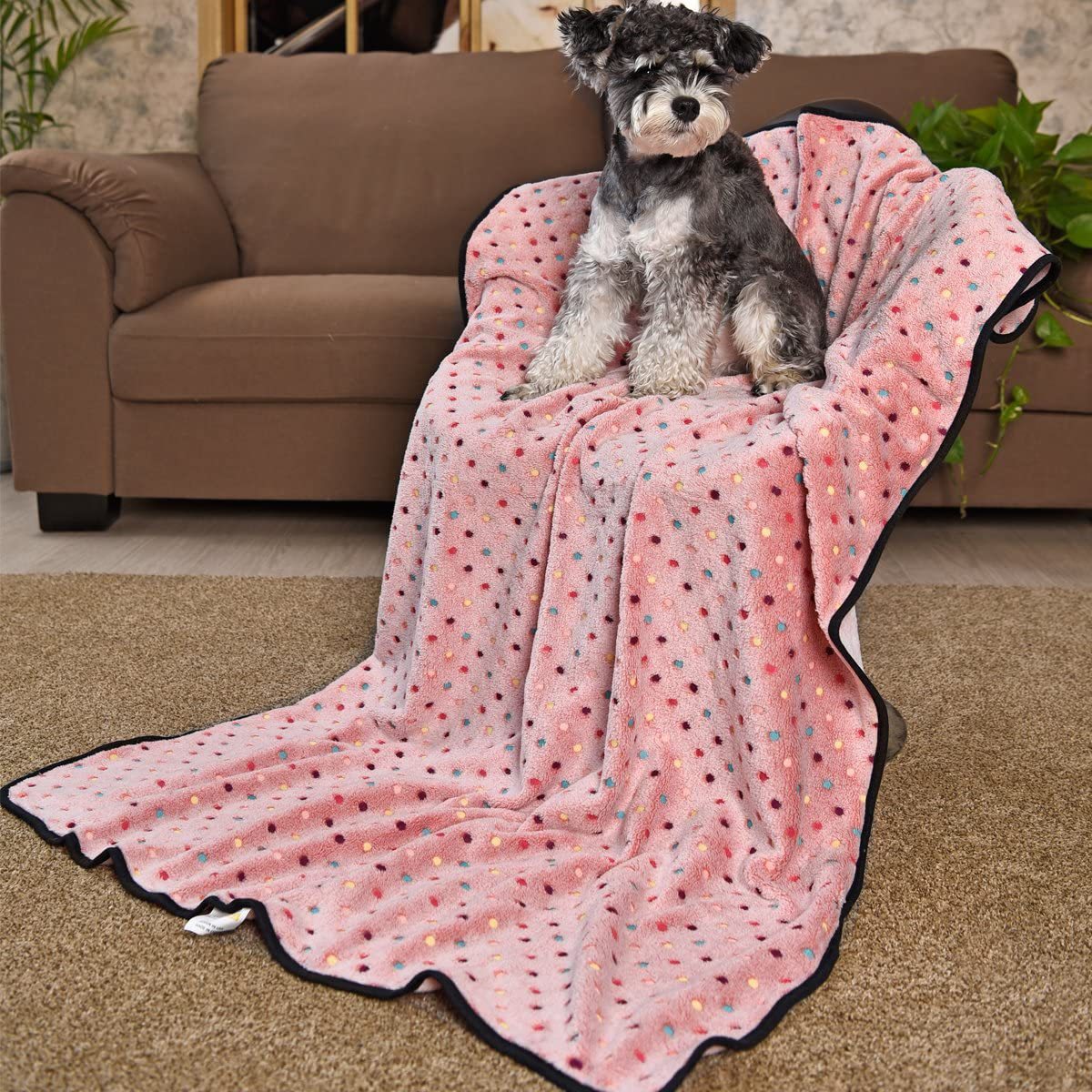Brehn Plush Microfiber Blanket Soft Cozy Warm with Playful Polka Dot Pattern