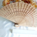 Ladies Fan Delicate Plastic Artistic Cut Pattern Lightweight Handheld Accessory