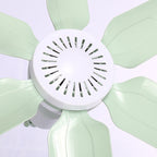 Ceiling Fan With Translucent Blades Quiet Operation Energy Efficient