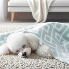 Harrow Women's Cozy Fleece Throw Blanket Patterned Geometric Design Soft Colors