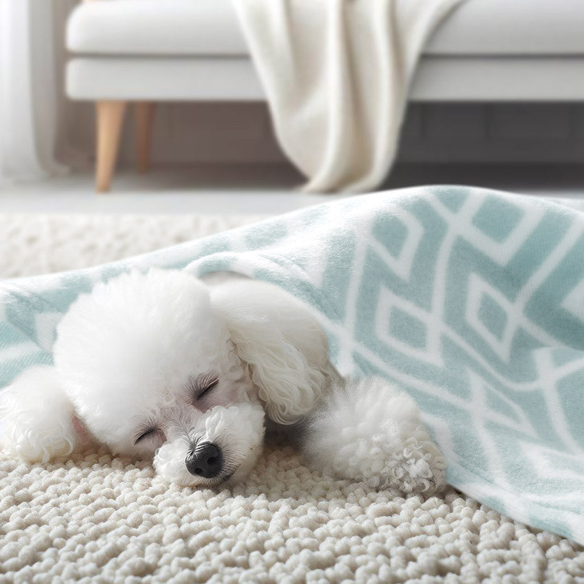 Harrow Women's Cozy Fleece Throw Blanket Patterned Geometric Design Soft Colors