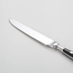 Nietengriff Stainless Steel Cutlery Set with Rivet Handles 4-Piece Fork Knife Spoon Set