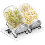 Sprouting Glass Jar Set 2pcs 950ml with Stainless Steel Lid, Mesh Sieve, and Holder for Seed Germination