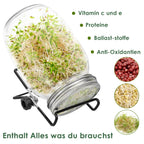 Sprouting Glass Jar Set 2pcs 950ml with Stainless Steel Lid, Mesh Sieve, and Holder for Seed Germination