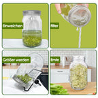 Sprouting Glass Jar Set 2pcs 950ml with Stainless Steel Lid, Mesh Sieve, and Holder for Seed Germination