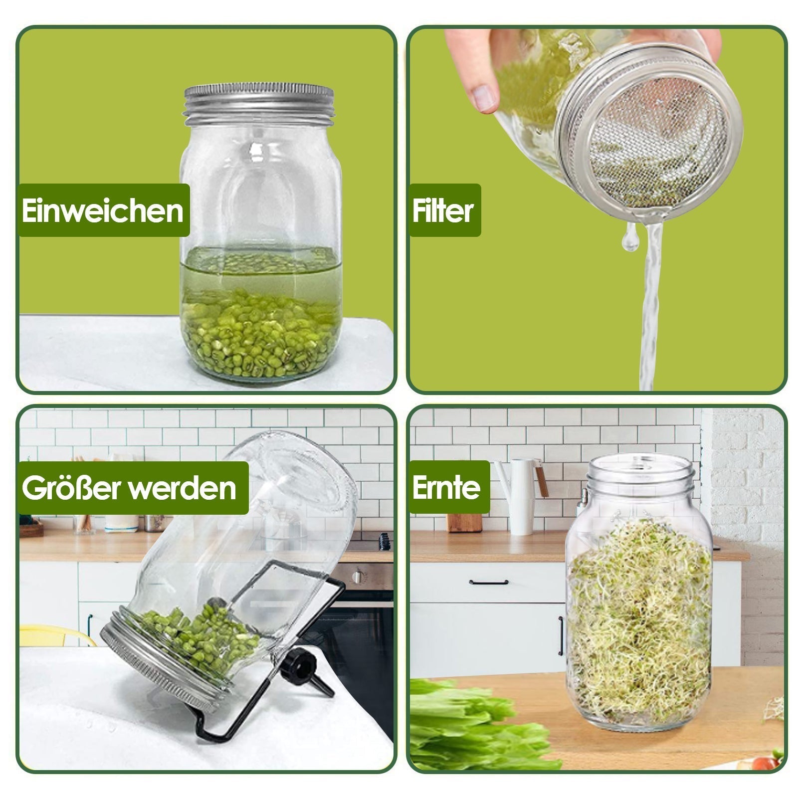 Sprouting Glass Jar Set 2pcs 950ml with Stainless Steel Lid, Mesh Sieve, and Holder for Seed Germination